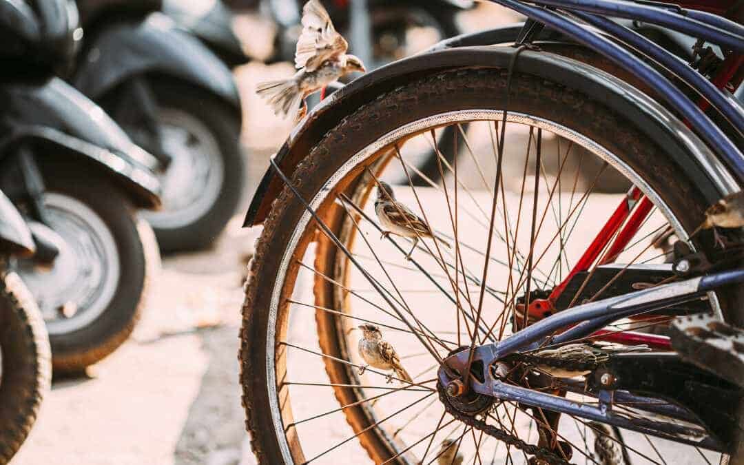 CPSC Issues Recall Of Folding Bicycle Over Safety Hazards