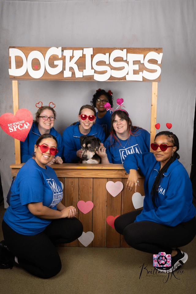 Geoff McDonald and Associates Team SPCA Dog Kissing Booth Fundraising Event